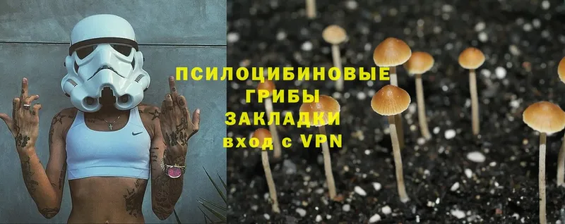 купить наркотик  Сосновоборск  МЕГА как войти  Галлюциногенные грибы Cubensis 